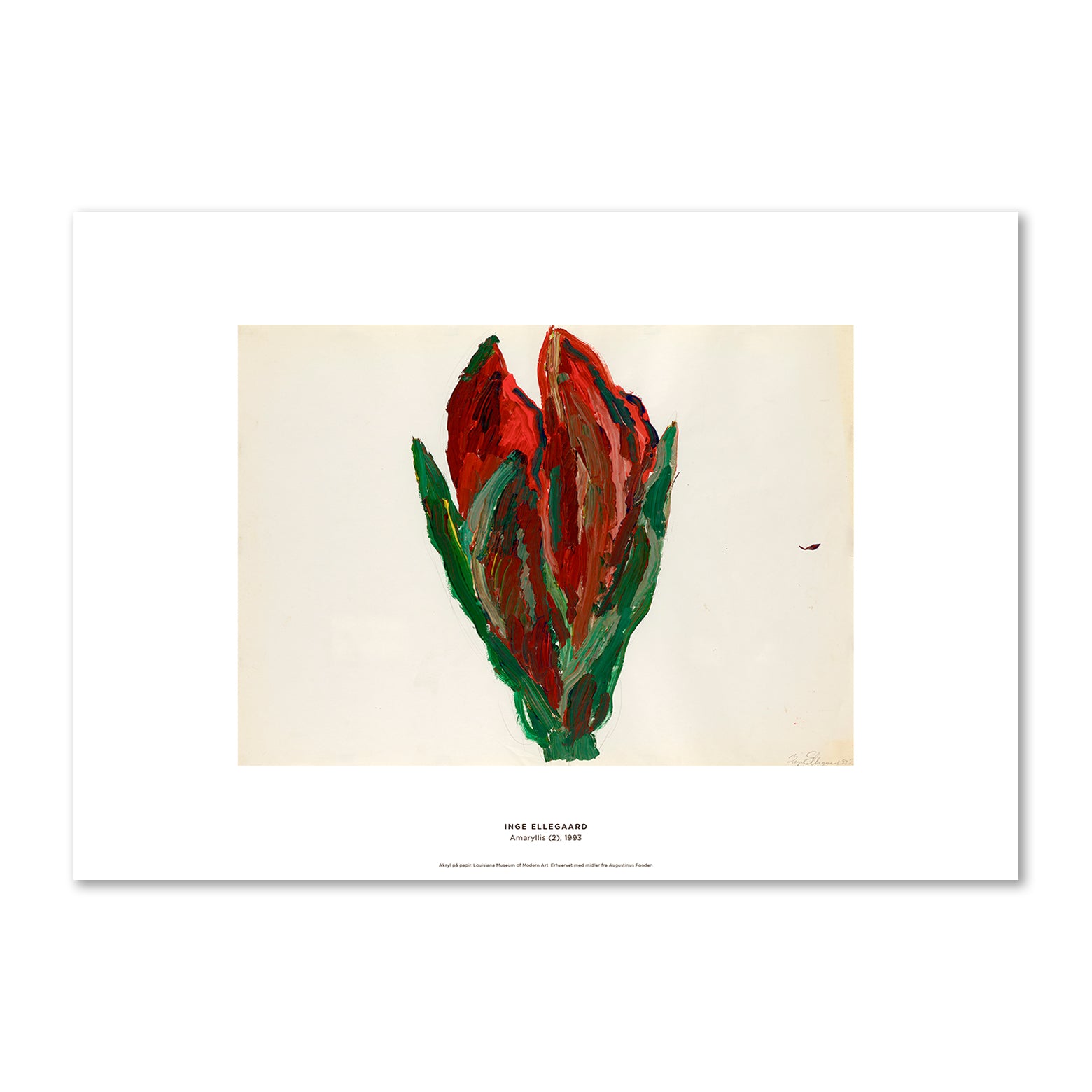 Inge Ellegaard – Amaryllis – Louisiana print