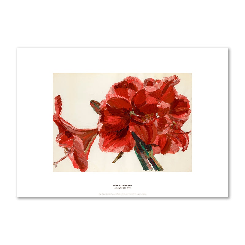 Inge Ellegaard – Amaryllis (6) – Louisiana print – Louisiana Design Butik