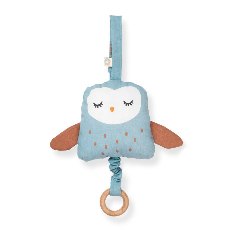 Musical Pull Toy Owl - blue