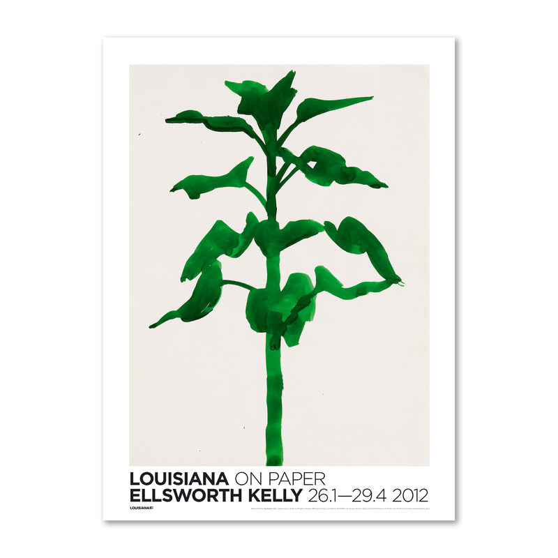 Ellsworth Kelly – Sunflower (1957)