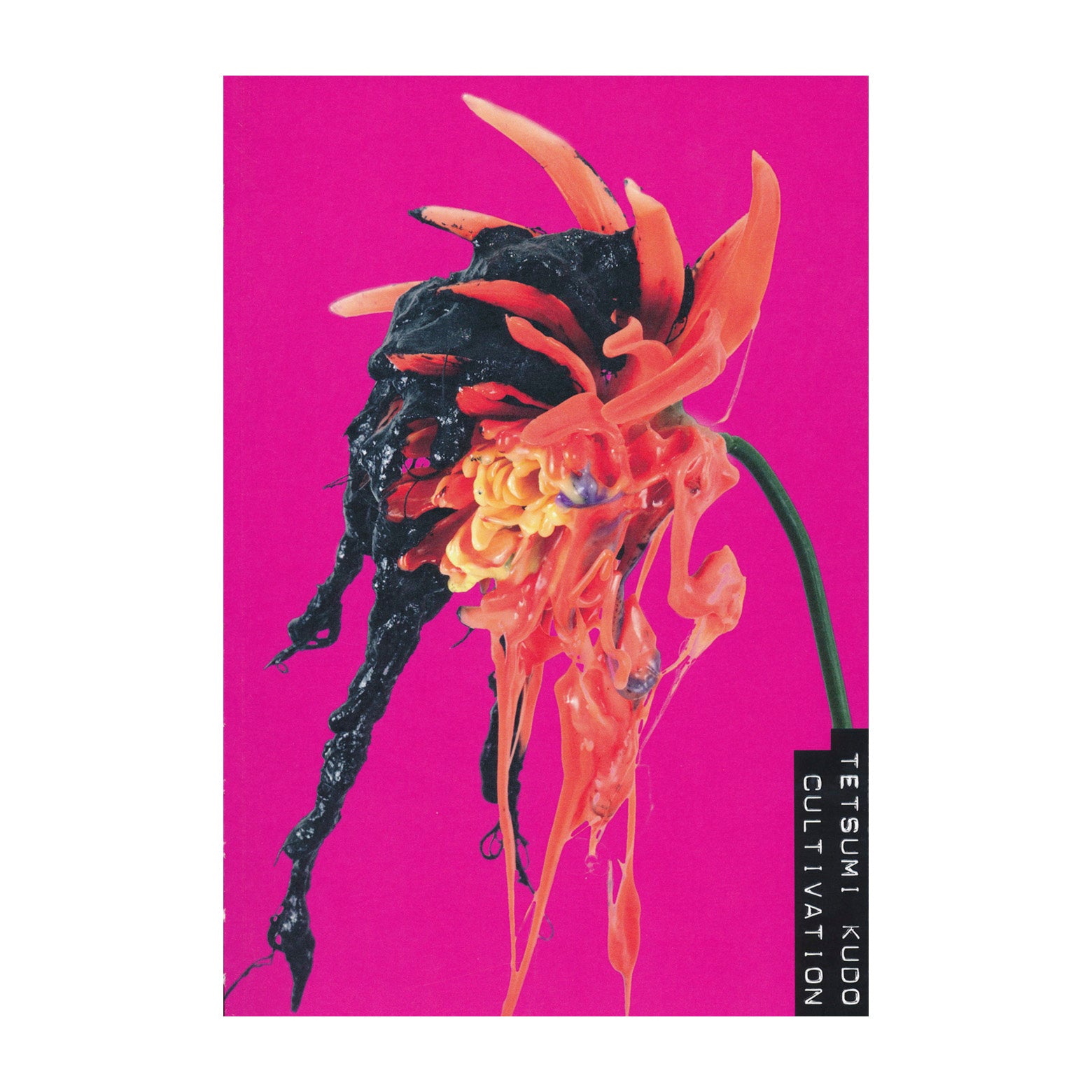 Tetsumi Kudo catalog (English)