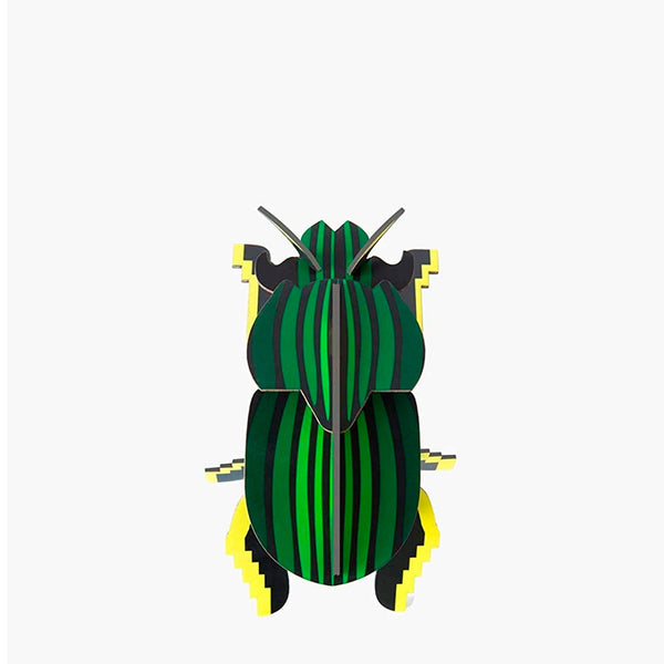 Scarab Beetle – Small