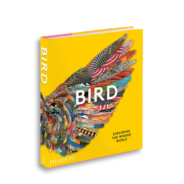 Bird – Exploring the Winged World